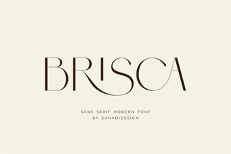 Brisca Font: a Creative Script for Handcrafted Projects